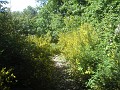 004_Monte Bigorio_Mai-2024